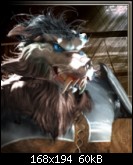 ecbea6c6f151141329.png